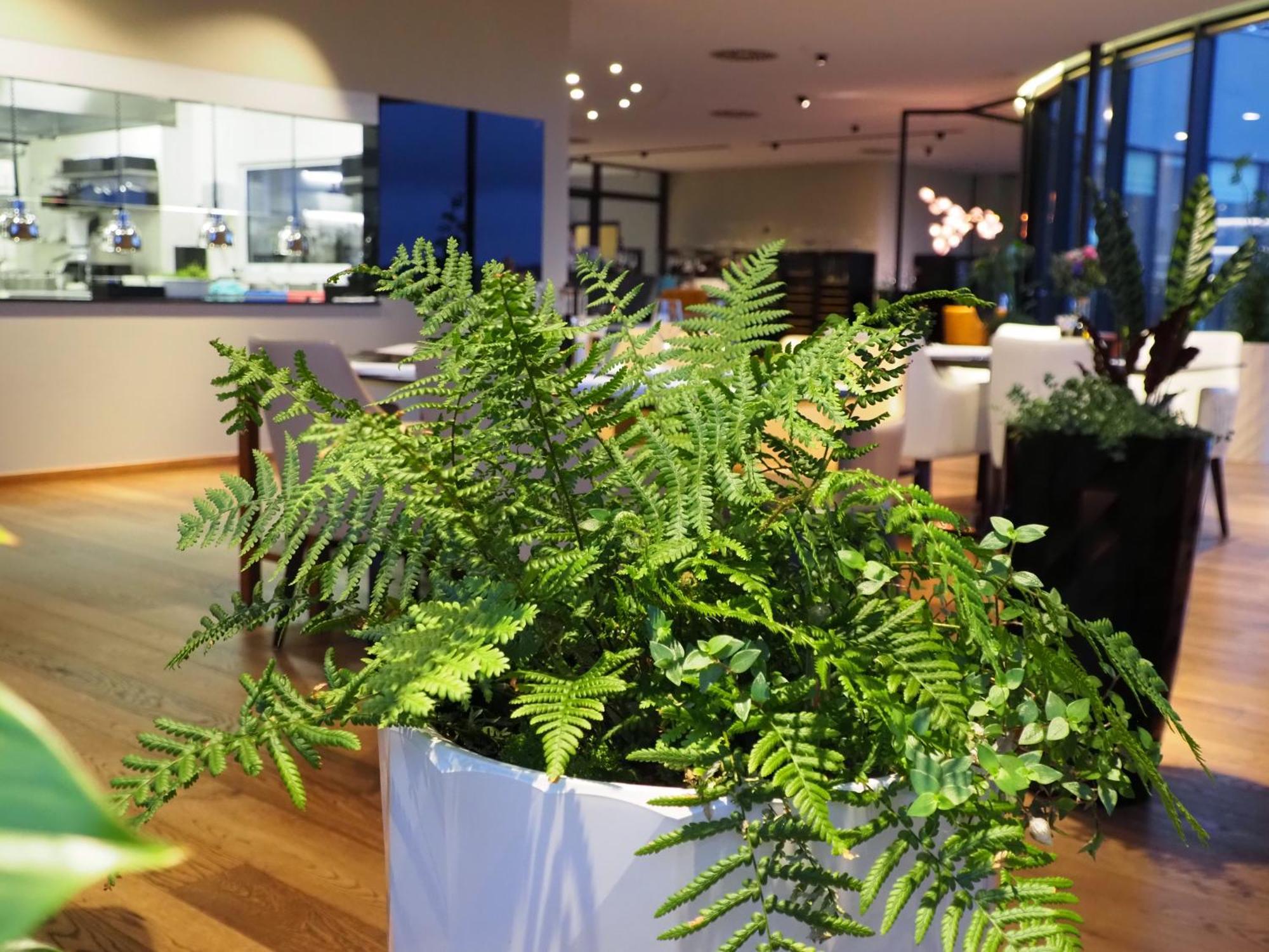 Mg Restaurace/Luxury Apartments 믈라다볼레슬라프 외부 사진